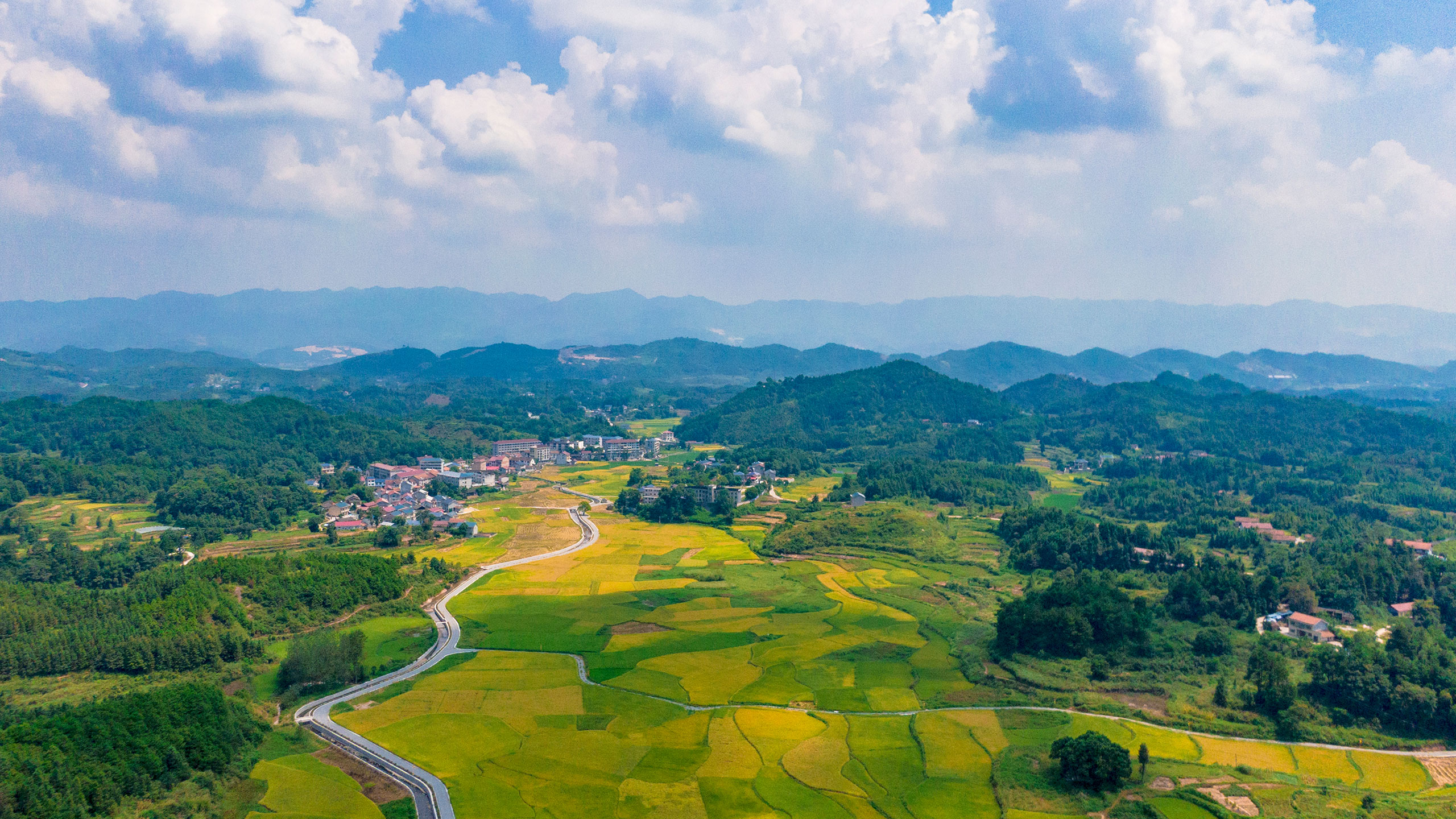 从朝阳升起的地方，捧出一碗好米